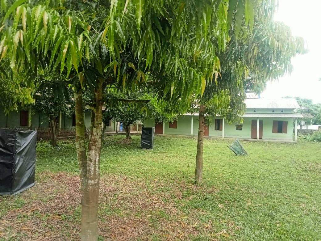 College building